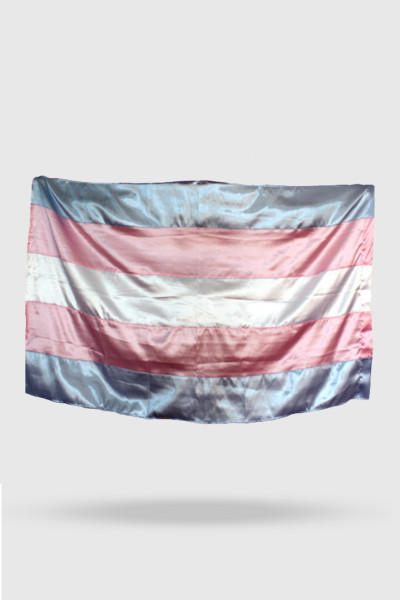 Bandeira Trans